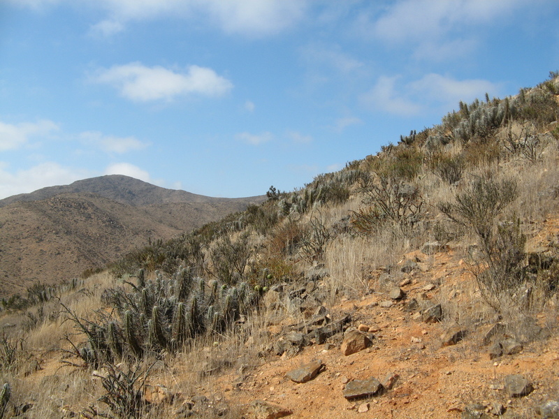 General View of the Confluence from 80 feet to the North-northeast