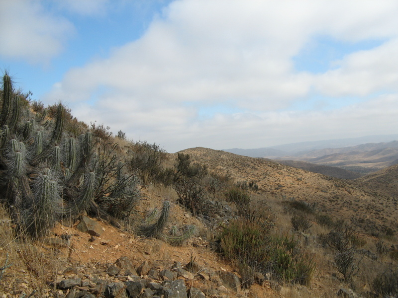 View to the North from the Confluence