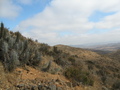 #2: View to the North from the Confluence