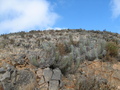 #5: View to the West from the Confluence