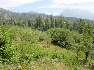 #1: General view of the confluence area