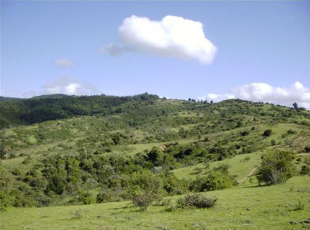 Beautiful hills at the confluence.  Glad its not in the brush!