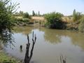 #6: The Titinvilo river