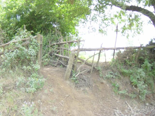 Gate that leads to forestry reserve perimeter trail