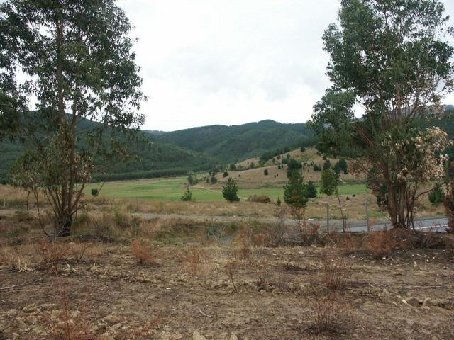 View looking north from S38 W73