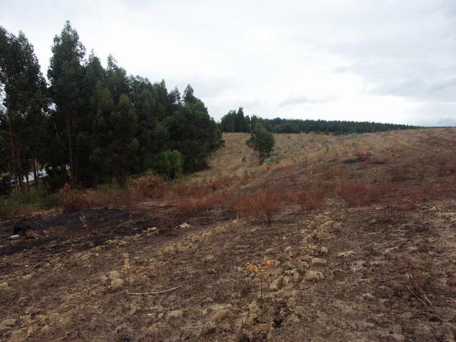 View looking east from S38 W73