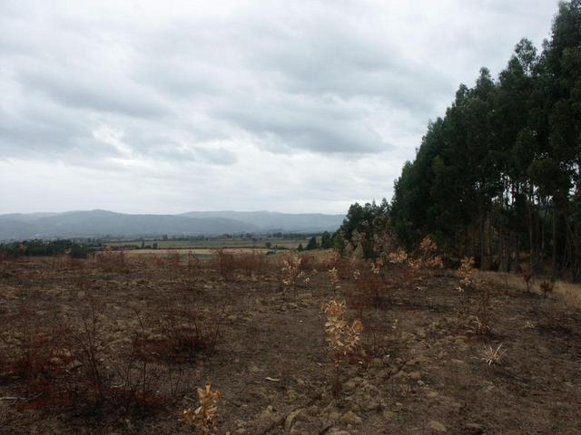 View looking west from S38 W73