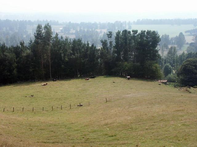 View looking downhill (north) from the confluence