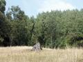 #4: View looking uphill (south) from the confluence