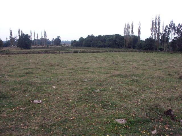 Looking north from S39 W73