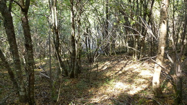 #1: View from the Confluence towards the South