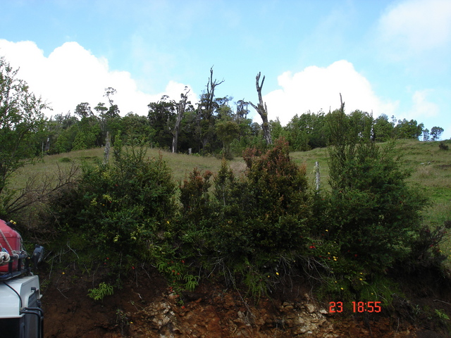 Vista norte de la zona de la confluencia