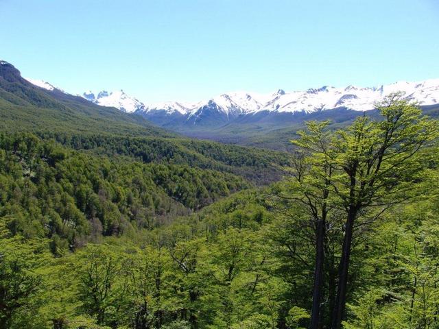 panoramic view of the area