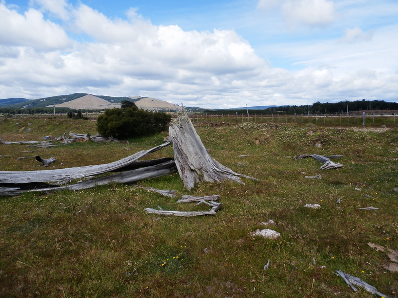 View to the South