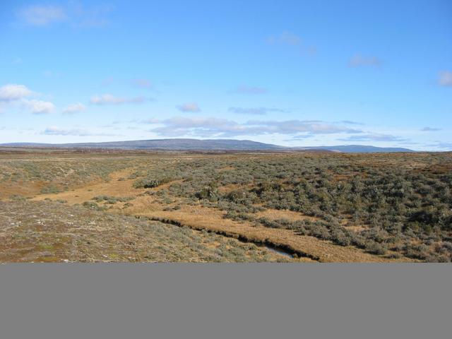 Overview of confluence, just left of center