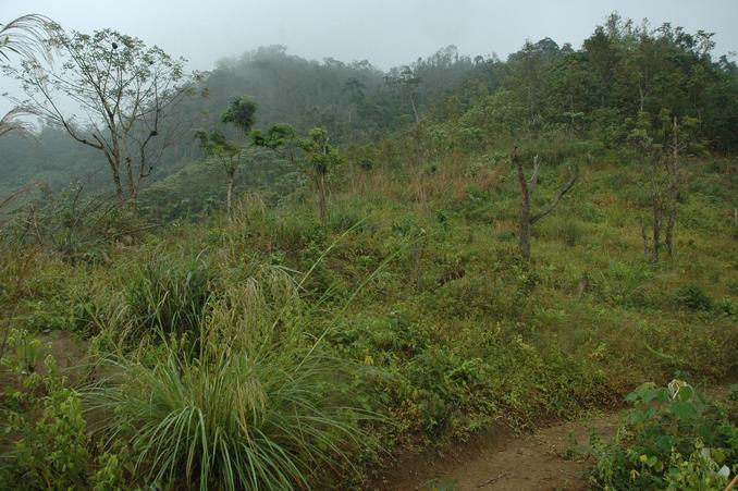 The Confluence Point - 60 meters away in the center