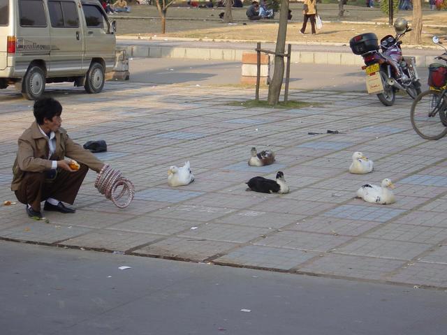 Chinese version of horseshoes: throw the ring over the sitting duck's head