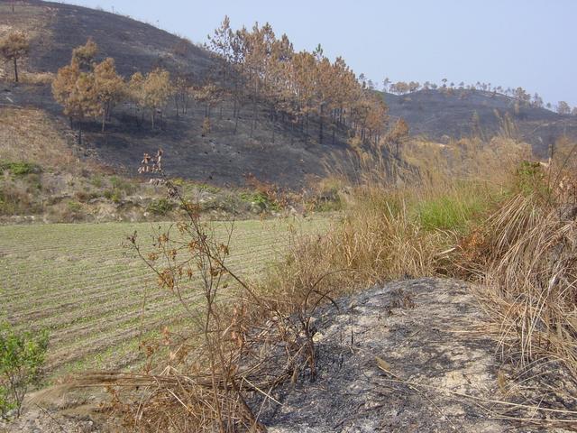 Facing north from the confluence