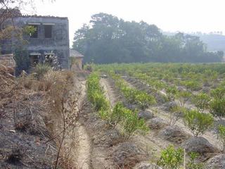 #1: Facing south from the confluence, towards the village