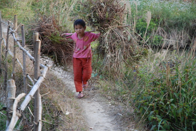 Hard working girl returning to the village