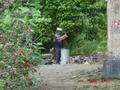 #3: Beekeeper inspecting honeycomb