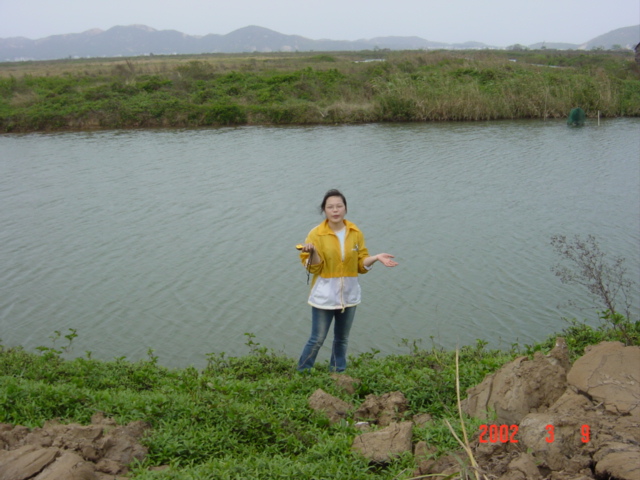 Looking north, confluence in the water. "Now what?"