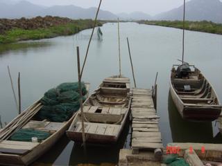 #1: Looking west, confluence in water just beyond net.