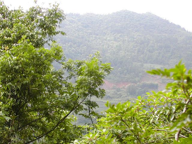 View from the confluence point to the South