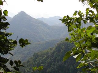 #1: View from the confluence point to the West