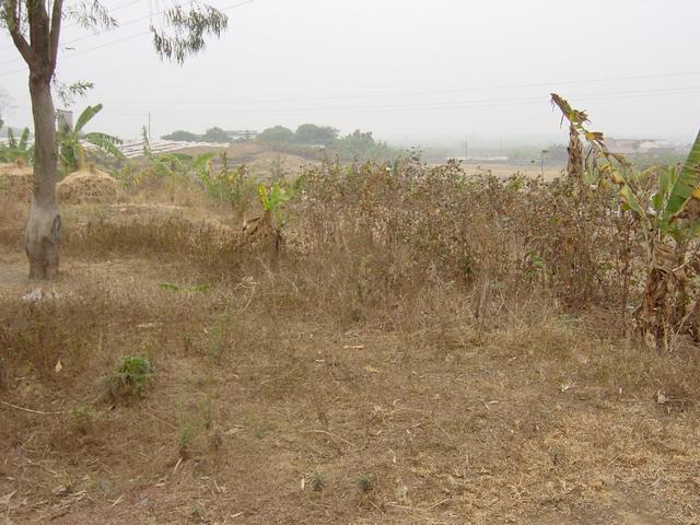 Facing south from the confluence