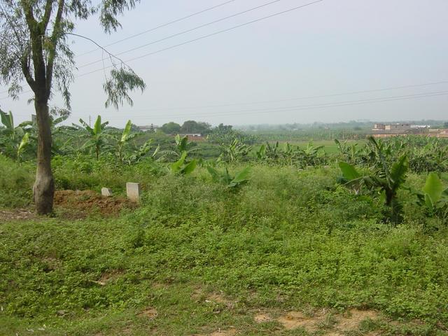 View from the confluence point to the South