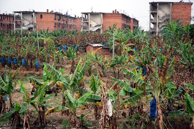 The nearby apartment based village