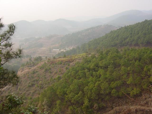 Facing west from the confluence