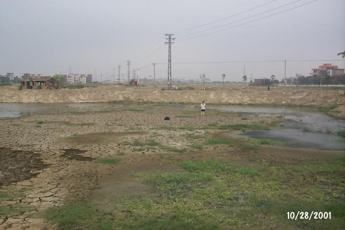 Dried Fish Pond