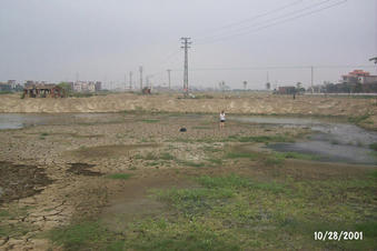 #1: Dried Fish Pond