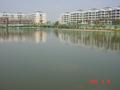 #4: Looking back across the lake towards the confluence.