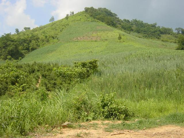 Confluence is near the top of the hill, 567 metres northeast