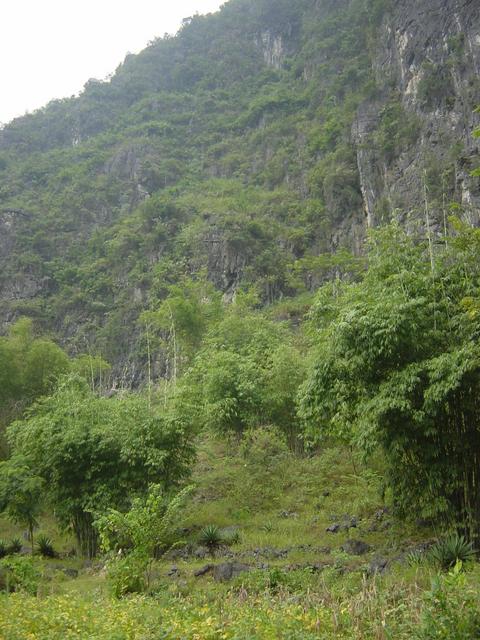 Facing west from the confluence