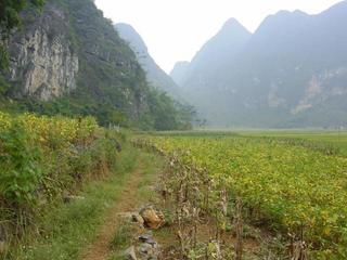 #1: Looking towards the confluence 100 meters east, at the base of the rocky outcrop