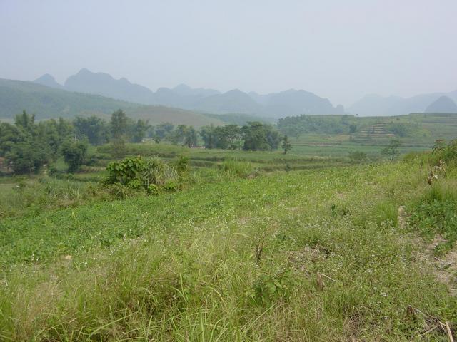 Facing east from the confluence