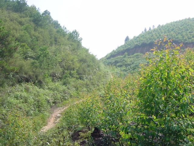 Facing east from the confluence