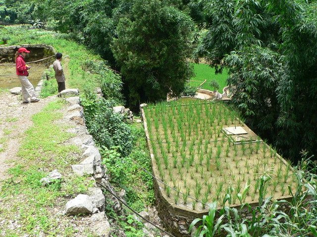 Ah Feng and our motorcyclist setting off on foot from Gǔguǎngdà, where one of the houses had a rice paddy on the roof.