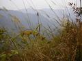 #8: View from the Confluence to the North