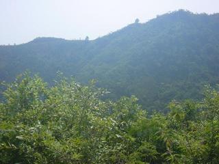 #1: Facing west from the confluence