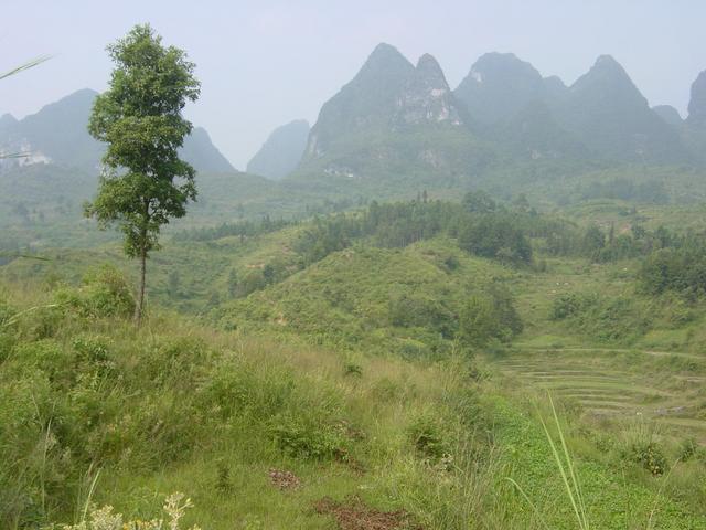 Facing west from the confluence