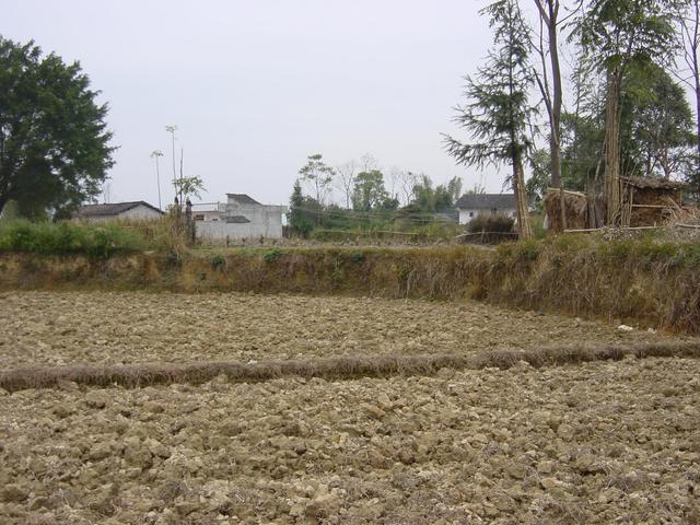 View from the Confluence to the North