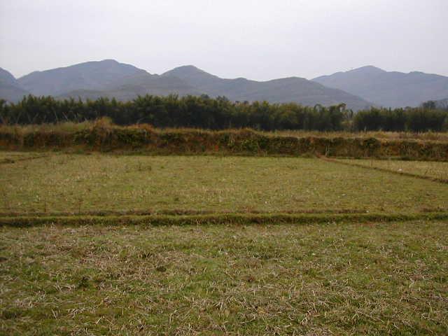 View from the Confluence to the South