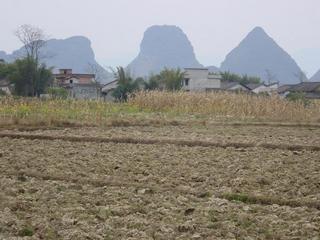 #1: View from the Confluence to the West