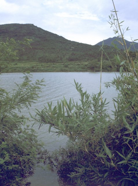 View of the confluence from across the river