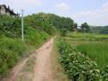 #5: Last power pole, one kilometre from confluence, looking back along road to Zhongshan